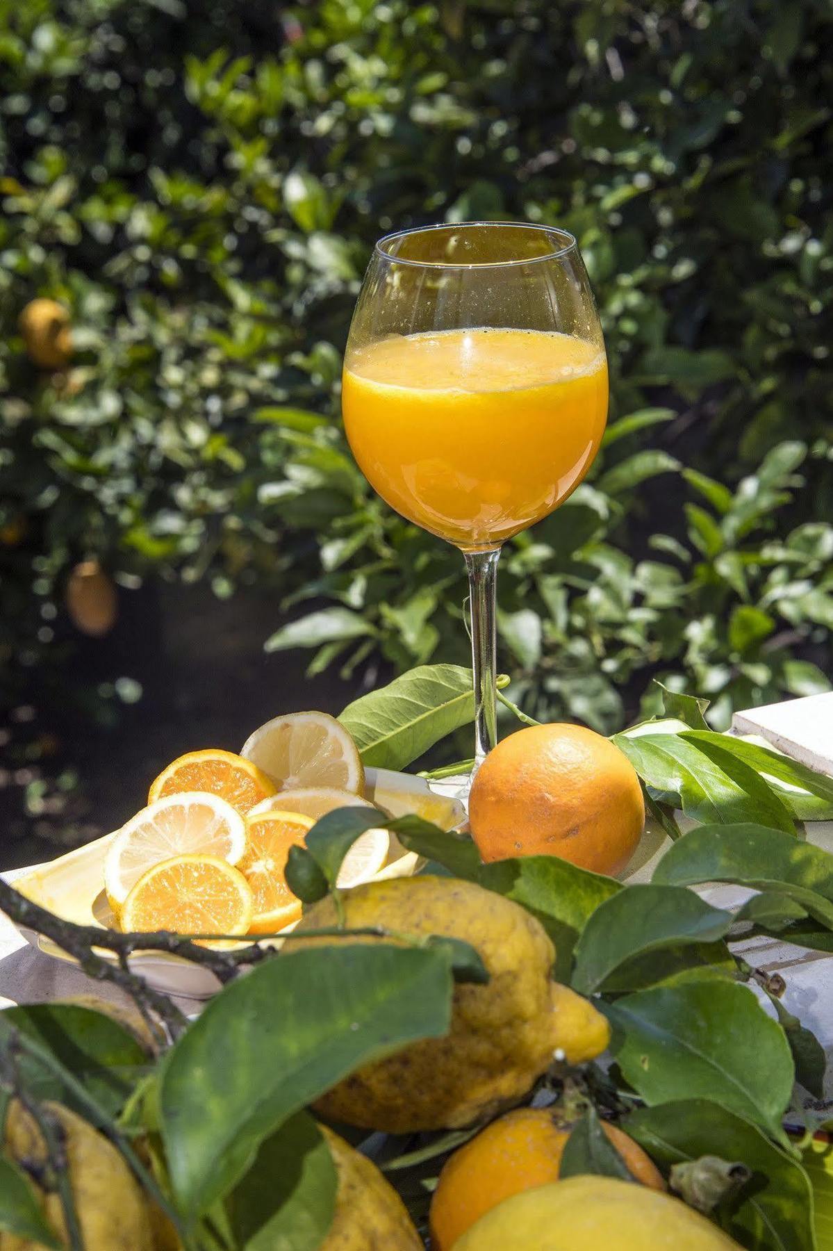 Relais Correale Rooms&garden Couette-café 3*